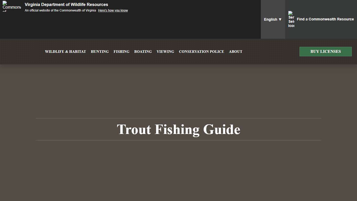 Trout Fishing Guide Virginia DWR
